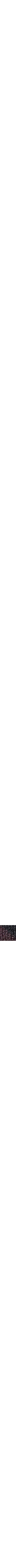 Pourpre à motifs