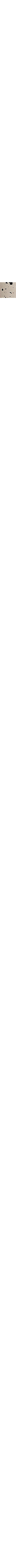 Blanc crème assorti