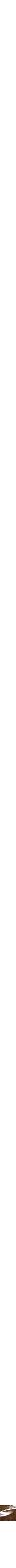 Assorti