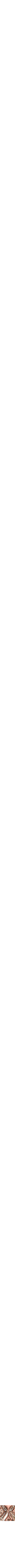 Assorti