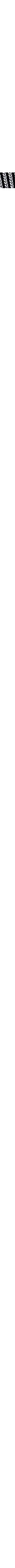 Noir assorti