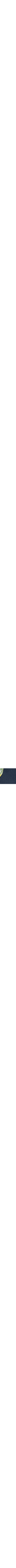 Color not available