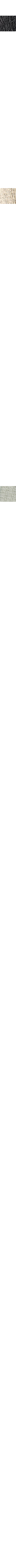 Vert pâle