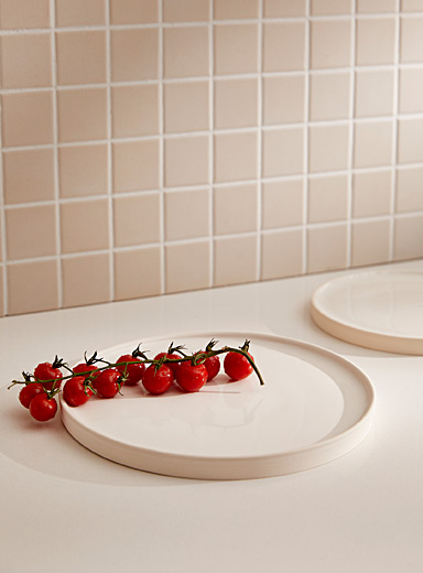 La grande assiette blanche c&eacute;ramique &eacute;maill&eacute;e