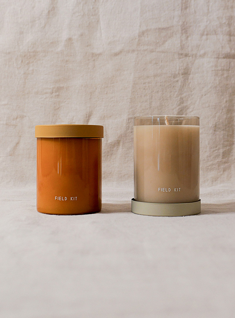 Field Kit The Artist and The Beekeeper Sweet scented candle set The Artist and The Beekeeper