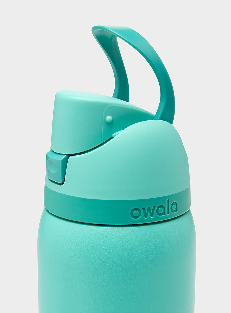 Owala Lilacs FreeSip insulated bottle 32 oz for women