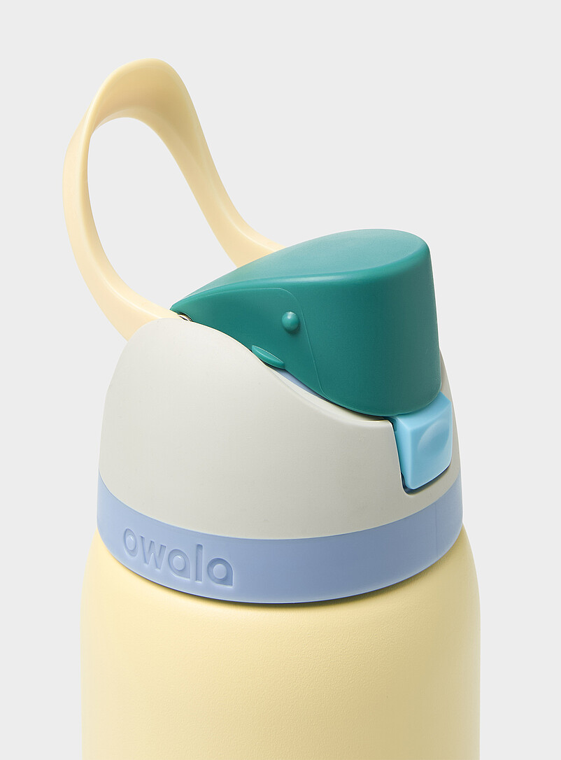 Owala Lilacs FreeSip insulated bottle 32 oz for women