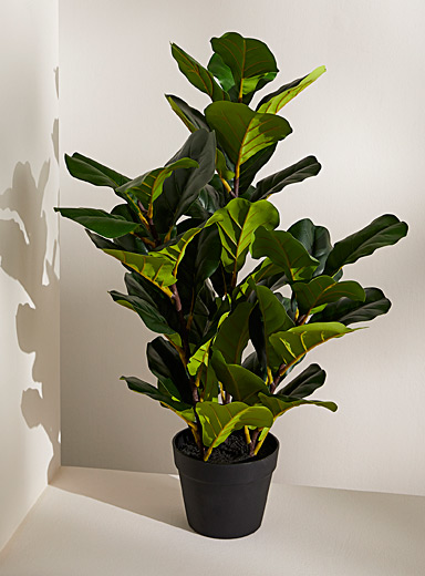 Artificial fiddleleaf fig green plant