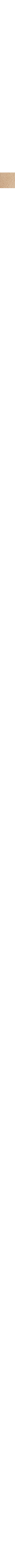 Blanc cassé