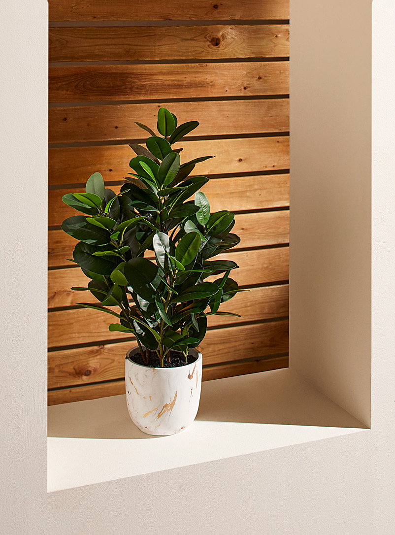 Artificial mangosteen shrub product image (primary)