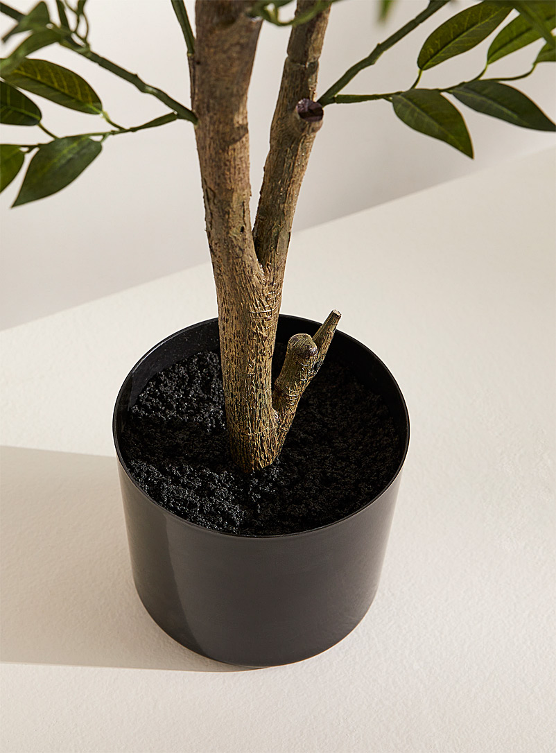 Artificial acacia shrub product image 3