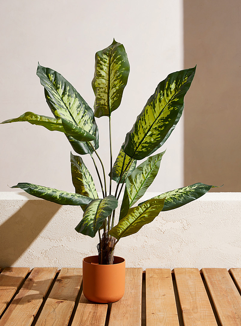 Artificial dieffenbachia green plant product image (primary)