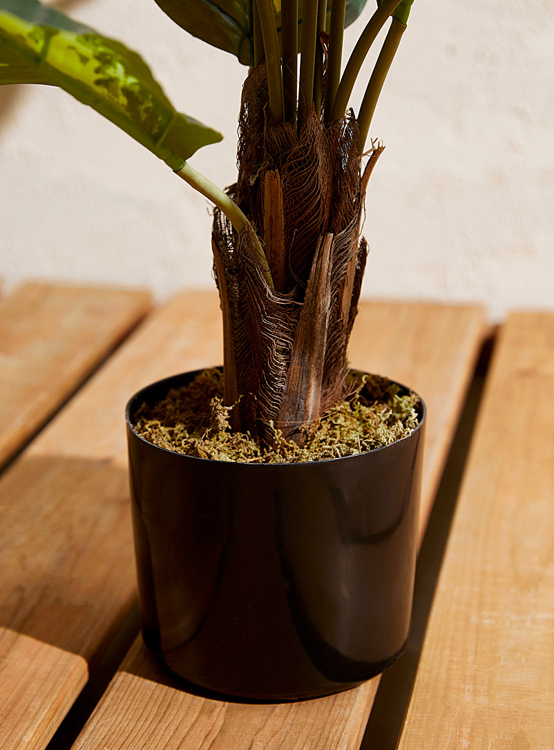 Artificial dieffenbachia green plant product image 3