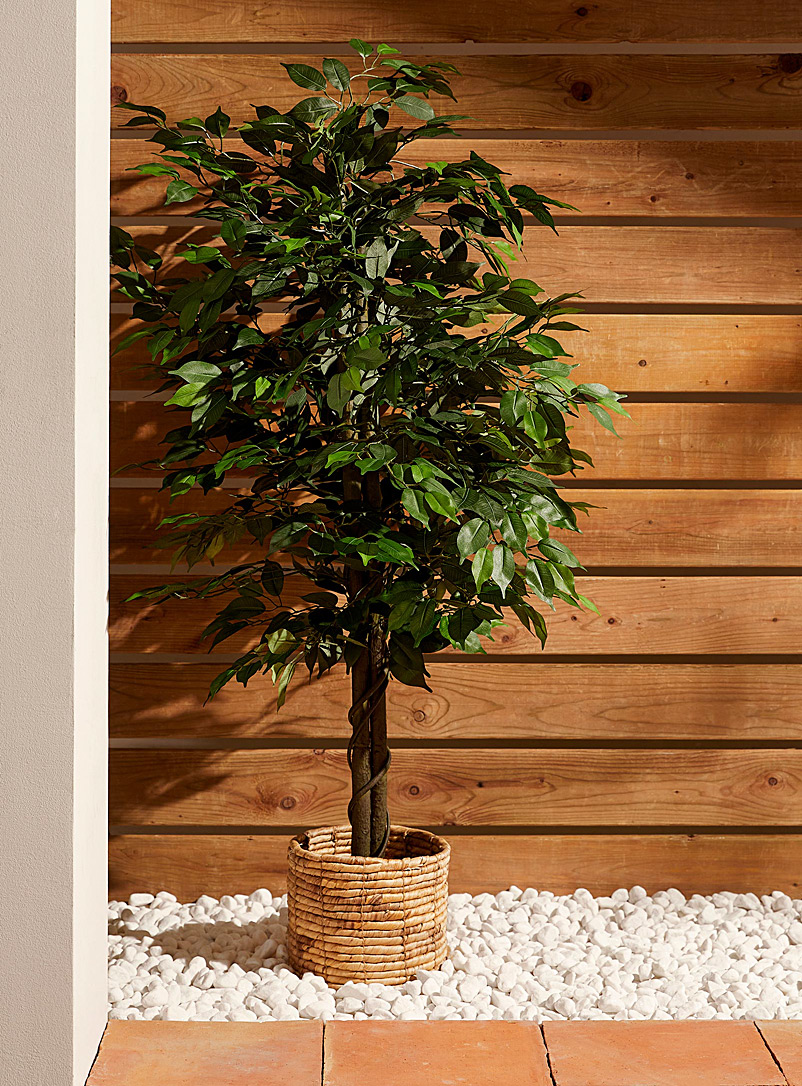 Artificial ficus green plant product image (primary)
