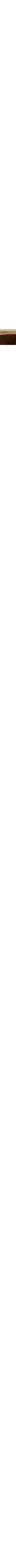 Dark brown wood