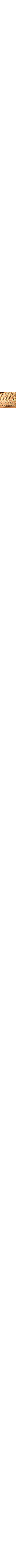 Bois brun pâle
