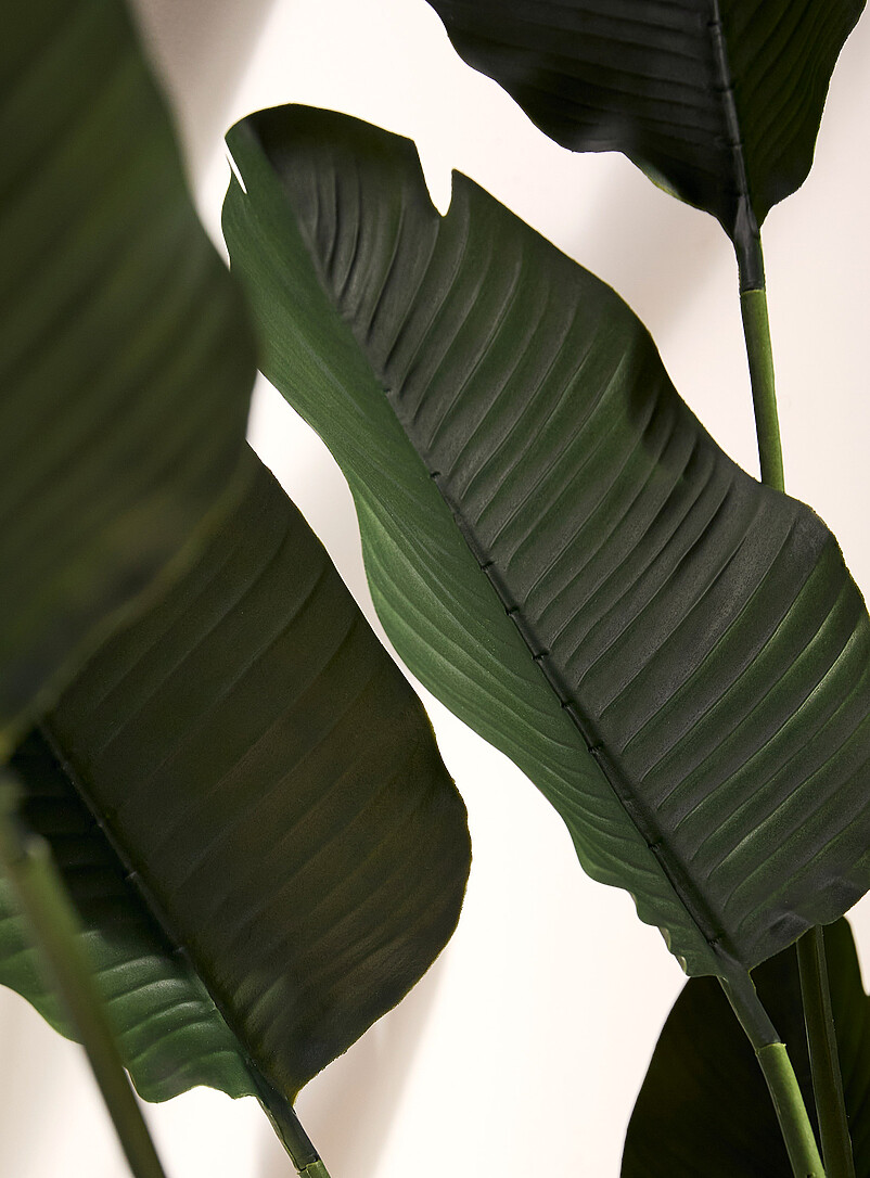 Artificial bird of paradise plant 211 cm tall product image 2