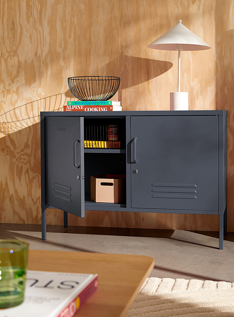 The Lowdown Metallic Storage Cabinet