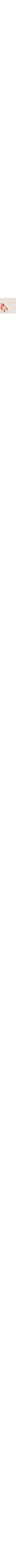 Blanc à motifs