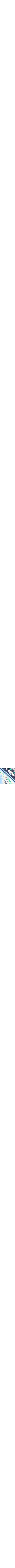 Patterned Blue