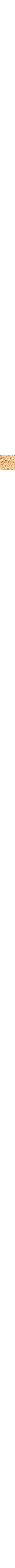Brun à motifs