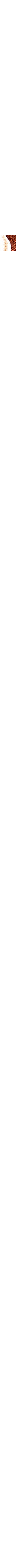 Écru à motifs