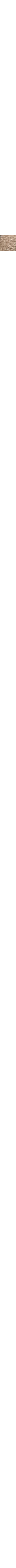 Écru à motifs