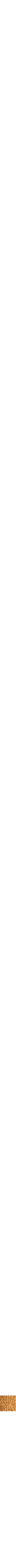 Orange à motifs