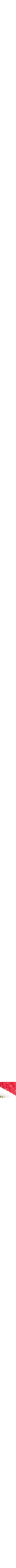 Rouge à motifs