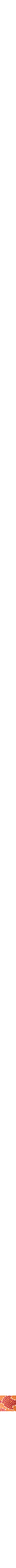 Orange à motifs