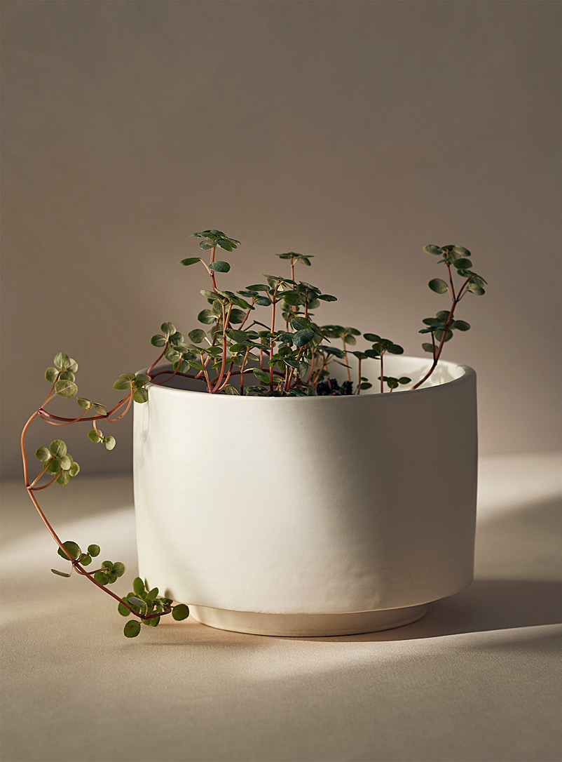Ceramics by LJM: La jardinière minimaliste en grès sur soucoupe invisible 4 po à l'ouverture Blanc