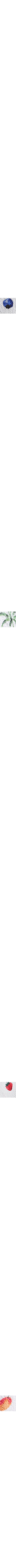 Vert à motifs