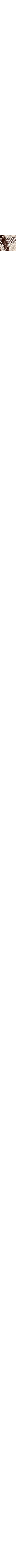 Patterned Ecru
