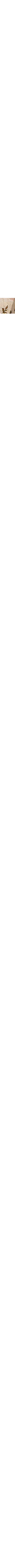 Blanc à motifs