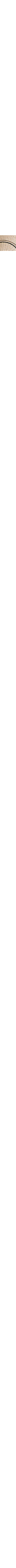 Écru à motifs