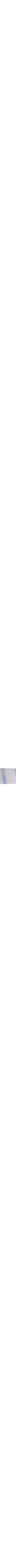 Bleu à motifs