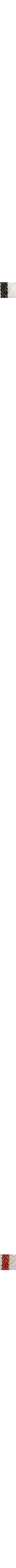 Blanc et noir