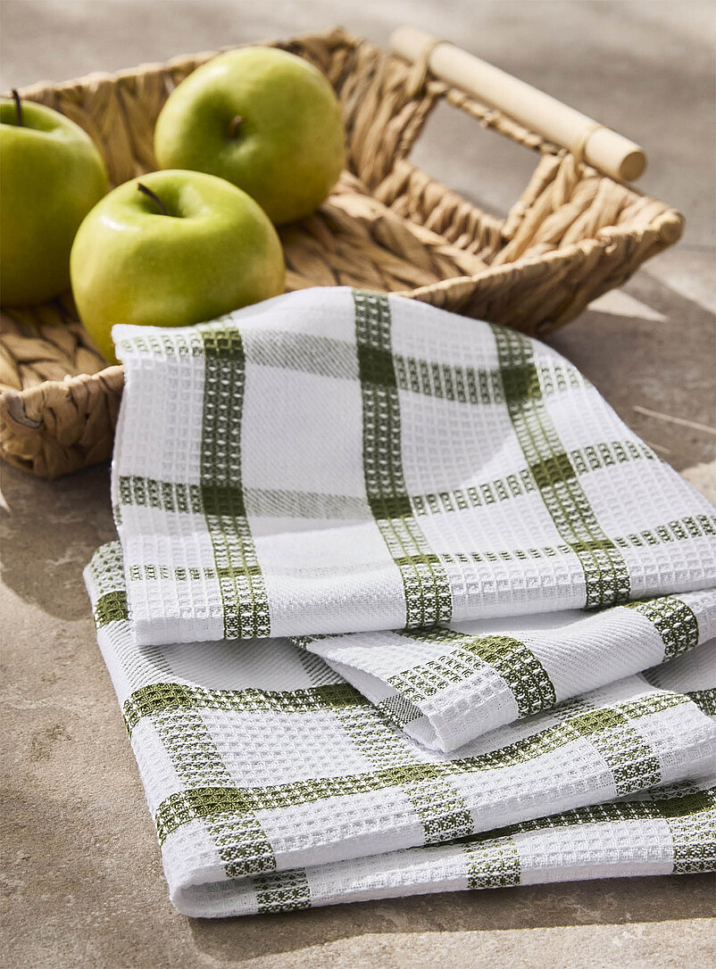 Two-Tone Checkered Dishcloths Set Of 2