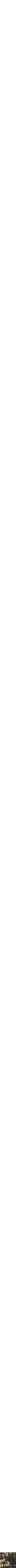 Vert à motifs