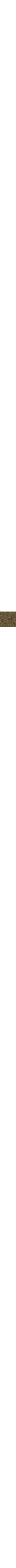 Vert à motifs
