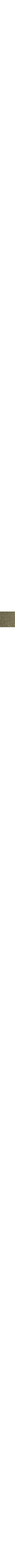 Vert à motifs