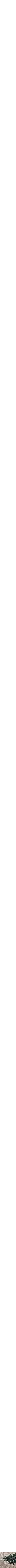 Beige à motifs