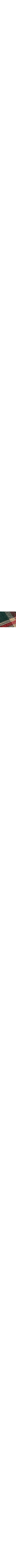Vert à motifs