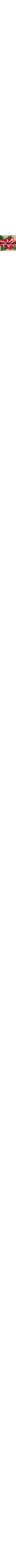 Écru à motifs