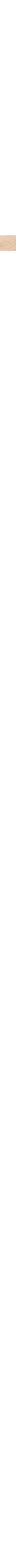 Écru à motifs