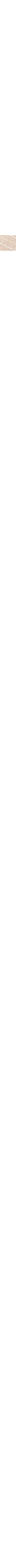 Écru à motifs