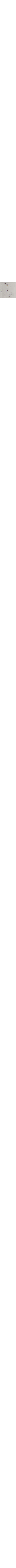 Blanc et noir