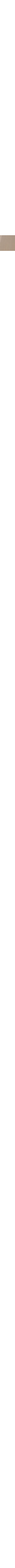 Patterned Ecru