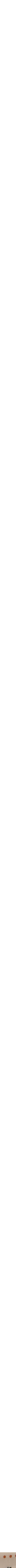 Patterned Cream