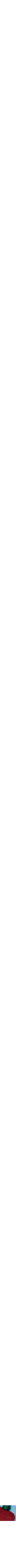 Assorti
